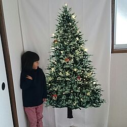リビング/アパート/クリスマスツリーのインテリア実例 - 2016-11-25 01:36:22