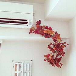 壁/天井/植物/フェイクグリーンのインテリア実例 - 2013-09-13 13:49:27