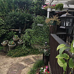 庭/玄関/入り口のインテリア実例 - 2020-08-07 13:25:15