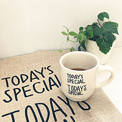 coffee time/TODAY'S SPECIAL/観葉植物/キッチンのインテリア実例 - 2021-06-25 10:08:50