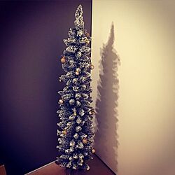 リビング/クリスマス/クリスマスツリー/ホワイト/クリスマス仕様のインテリア実例 - 2016-11-19 03:27:17