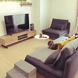 ソーデルハムン/IKEAのソファー/IKEA/リフォーム/リビングのインテリア実例 - 2020-08-01 12:24:59