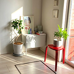 部屋全体/IKEA キャビネット/観葉植物のある部屋/絵のある暮らし/リビングのインテリア実例 - 2024-03-18 09:14:25