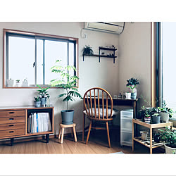 観葉植物のある暮らし/部屋全体/デスク周り/無印良品/IKEA...などのインテリア実例 - 2022-09-08 11:02:22