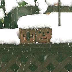 庭/雪のインテリア実例 - 2014-02-14 14:48:42