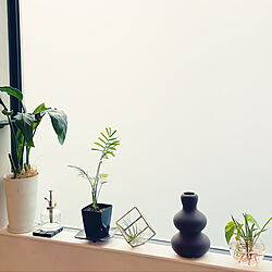 好きなインテリア/観葉植物のある暮らし/窓辺のインテリアのインテリア実例 - 2023-02-03 17:12:05