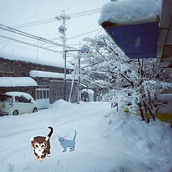 玄関/入り口/いいねコメありがとう(〃∇〃)/築50年以上/雪/気を付けてのインテリア実例 - 2017-01-21 07:56:52