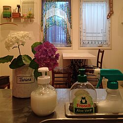 キッチン/アップルジュースの瓶/白い家/グリーンのある暮らし/花のある暮らし...などのインテリア実例 - 2016-06-28 17:13:05
