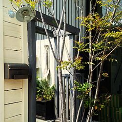 玄関/入り口/ガーデン/照明/シャビーシック/ペンキ塗装のインテリア実例 - 2015-04-30 15:01:22