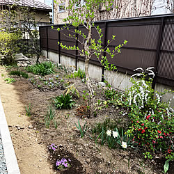 庭のインテリア実例 - 2021-04-24 11:14:06