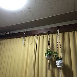 壁/天井/カーテンボックス/DIY/プラントハンガー/多肉植物...などのインテリア実例 - 2015-11-21 17:02:43