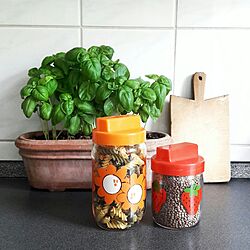 キッチン/cookie jarのインテリア実例 - 2017-06-28 01:59:40