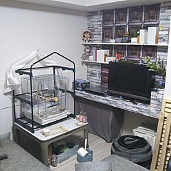 部屋全体/日替わり投稿企画!日曜日/オカメインコ/ペットと暮らす家/定点観測...などのインテリア実例 - 2017-06-13 18:22:18