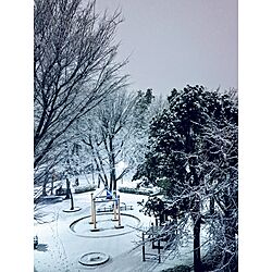 玄関/入り口/団地暮らし/窓からの眺め/雪/雪景色のインテリア実例 - 2024-02-05 18:53:22
