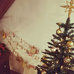リビング/クリスマス/クリスマスツリー/アドベントカレンダー/アドベントカレンダー手作り...などのインテリア実例 - 2020-12-01 23:10:20