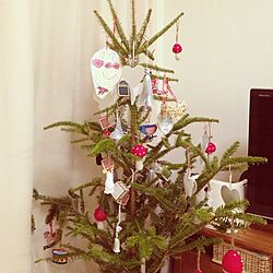 リビング/クリスマスツリーのインテリア実例 - 2013-11-26 20:18:14