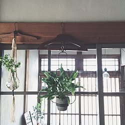 玄関/入り口/フラワーベース/DIY/古道具/植物のある暮らし...などのインテリア実例 - 2016-04-20 21:41:56