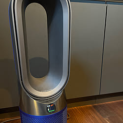 扇風機/ファンヒーター/Dyson/dyson hot＋cool/新築一戸建て...などのインテリア実例 - 2022-01-14 15:12:05