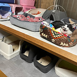 猫と暮らす/猫トイレ置き場/DIY/猫/ねこのいる日常...などのインテリア実例 - 2022-03-08 08:46:29