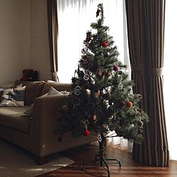 リビング/クリスマスツリー/ソファーのインテリア実例 - 2013-11-14 14:33:00