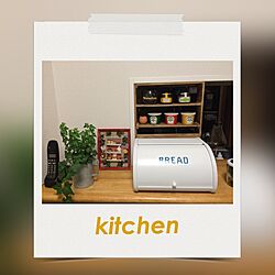 キッチン/DIY/セリア/100均/観葉植物のインテリア実例 - 2016-04-04 21:07:57