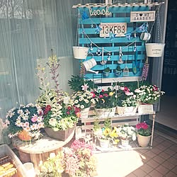 玄関/入り口/花のある暮らし/お花/すのこリメイク/ガーデン雑貨...などのインテリア実例 - 2017-03-25 10:47:10