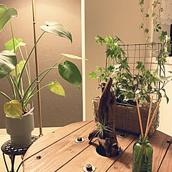 木のある暮らし/カフェ風/植物のある暮らし/電線ドラムのテーブル/観葉植物...などのインテリア実例 - 2021-09-12 18:59:19