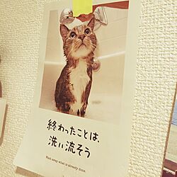 バス/トイレ/啓発ポスターのインテリア実例 - 2015-04-18 15:12:57