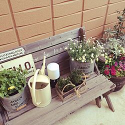 玄関/入り口/ガーデンコーナー/観葉植物のインテリア実例 - 2016-02-13 18:45:37