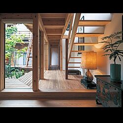 中庭/塗り壁/観葉植物/建築家デザイン/玄関/入り口のインテリア実例 - 2022-03-21 08:43:58