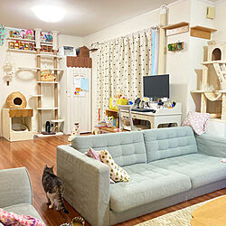 フリースペース/おもちゃ収納/IKEA/DIY/ペットと暮らす家...などのインテリア実例 - 2022-02-08 13:10:43