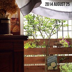 リビング/しゃれとんしゃあ会/RC湘南LOVE♡/DIY/ガーデンフェンス...などのインテリア実例 - 2014-08-25 17:56:20