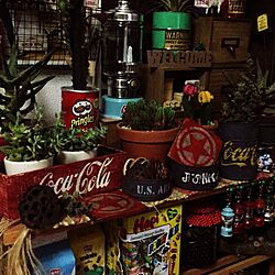 リメ缶/コカ・コーラ/ドライ/多肉植物/サボテン...などのインテリア実例 - 2015-11-20 19:33:02
