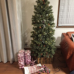 リビング/クリスマスツリー/クリスマスツリー180cmのインテリア実例 - 2017-12-02 22:27:01