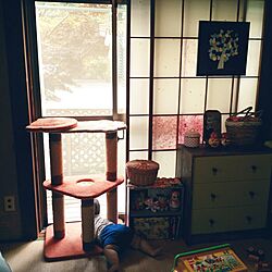 部屋全体/古い家/神奈川県民/むすこ/IKEA...などのインテリア実例 - 2014-09-04 13:54:37