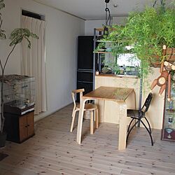 部屋全体/DIY/グリーン/無垢の床/食器棚...などのインテリア実例 - 2013-02-04 12:48:48