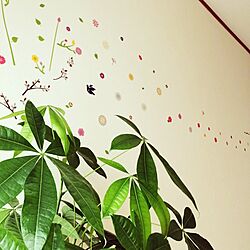 壁/天井/パキラ/ウォールステッカー/セリア/観葉植物...などのインテリア実例 - 2014-07-27 08:59:43