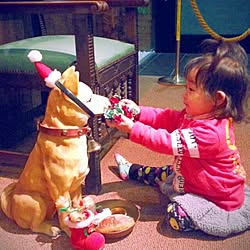 キッチン/クリスマス準備/犬と姫のインテリア実例 - 2013-12-10 23:06:01