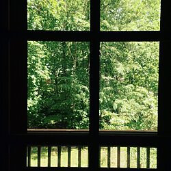 壁/天井/窓から見える緑/窓からの風景/ログハウス/ベランダのインテリア実例 - 2016-06-25 15:56:39