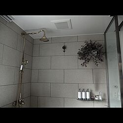 シャワー水栓/植物/浴室棚/バス/トイレのインテリア実例 - 2015-09-16 17:06:35
