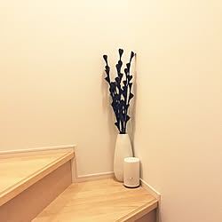部屋全体/IKEA/ニトリのインテリア実例 - 2017-06-21 10:10:46