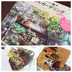 机/ナチュラルガーデニング2019/机ではありません/多肉植物のある暮らし/多肉植物...などのインテリア実例 - 2019-02-02 06:53:11