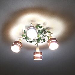 壁/天井/照明/フェイクグリーンのインテリア実例 - 2017-01-28 17:19:25