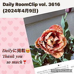 部屋全体/庭/ガーデニング/花のある暮らし/RCの出会いに感謝♥︎...などのインテリア実例 - 2024-04-09 09:17:12