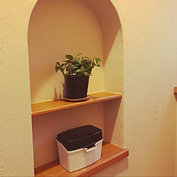 観葉植物のある暮らし/観葉植物/ニッチ棚/バス/トイレのインテリア実例 - 2022-10-19 06:52:10