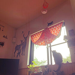IKEA猫柄カーテン/窓辺の猫/朝一瞬の晴れ/ねこのいる風景/黒猫ミースケ...などのインテリア実例 - 2021-07-15 23:06:07