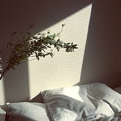 ベッド周り/一人暮らしのインテリア実例 - 2017-03-25 23:36:54
