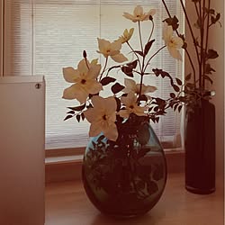 棚/フェイクグリーン/廊下/IKEA/花瓶...などのインテリア実例 - 2013-02-03 11:48:06
