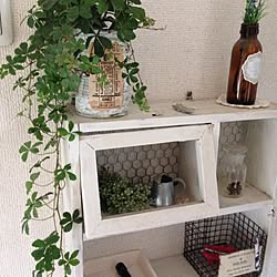 玄関/入り口/DIY/リメイク/植物/飾り棚のインテリア実例 - 2014-01-20 17:30:31