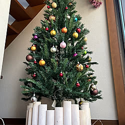 クリスマスツリーのインテリア実例 - 2023-12-07 21:46:49